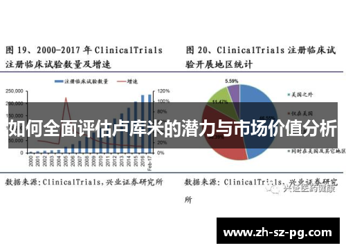 如何全面评估卢库米的潜力与市场价值分析