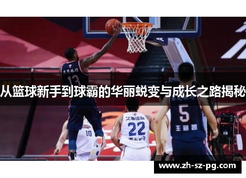 从篮球新手到球霸的华丽蜕变与成长之路揭秘