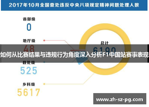 如何从比赛结果与违规行为角度深入分析F1中国站赛事表现
