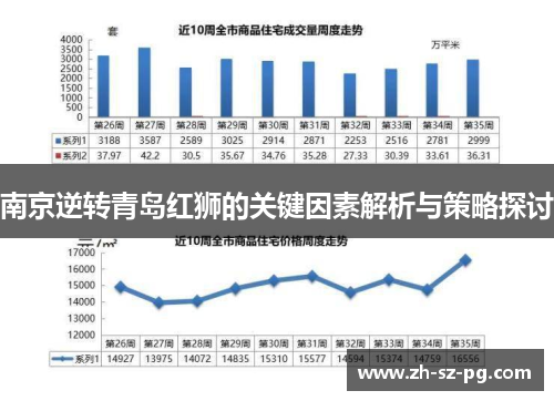南京逆转青岛红狮的关键因素解析与策略探讨