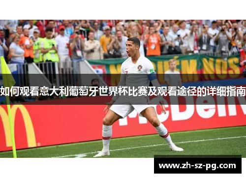 如何观看意大利葡萄牙世界杯比赛及观看途径的详细指南