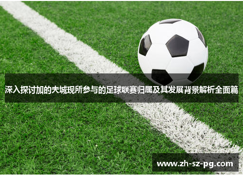 深入探讨加的夫城现所参与的足球联赛归属及其发展背景解析全面篇