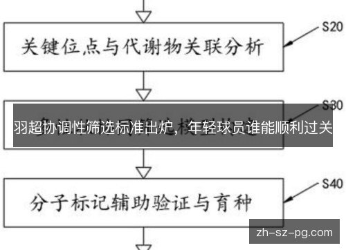 羽超协调性筛选标准出炉,年轻球员谁能顺利过关 羽超协调性筛选标准出炉,年轻球员谁能顺利过关